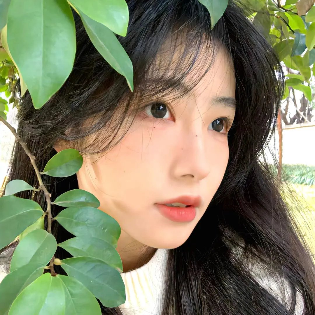 白马之子